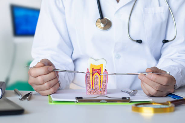 Best Cosmetic Emergency Dentistry in New Knoxville, OH